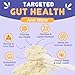 NATURE TARGET Probiotics for Dogs - Dog Probiotics, Plus Prebiotic, Digestive Enzymes, Fiber, Support Gut, Immune Health, 6 Billion CFU Dog Probiotic Powder, Relieve Diarrhea, Loose Stool, 90 Scoops