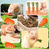 Timothy Lot de 24 bâtonnets de foin à mâcher pour lapin, cochon d'Inde, hamster, chinchilla, betteraves, lapins - 6