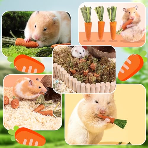 Timothy Lot de 24 bâtonnets de foin à mâcher pour lapin, cochon d'Inde, hamster, chinchilla, betteraves, lapins - 6