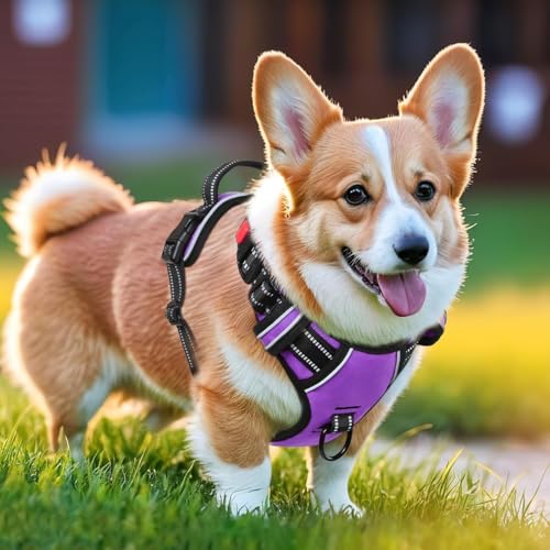 Fokroin Arnés antitirones para Perros, Chaleco Acolchado Ajustable, Arnés sin tensión para Perros Grandes y Pequeños, Practicar Deporte y Correr - imagen 4