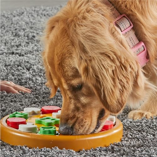 Jeu interactif antidérapant et casse-tête friandises pour chien