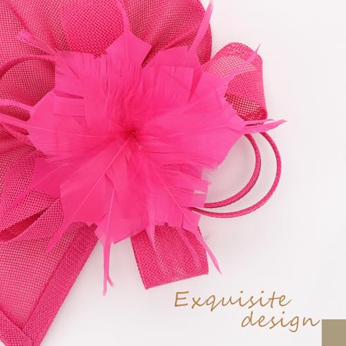 Image of DRESHOW Fascinators Hat Feather Headband Women's Fascinators Tea Party Headwear with Clip Flower Head Band for Girls & Women