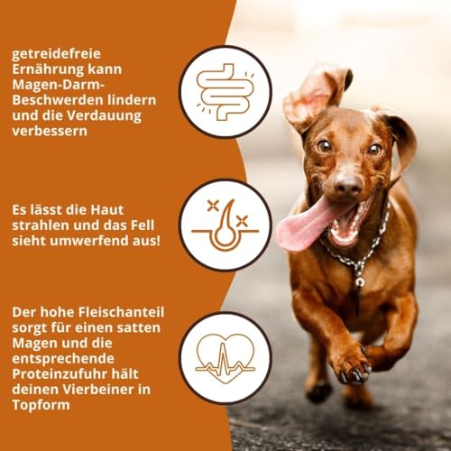 Wildfang® Hundefutter - Trocken - Getreidefreies Hundefutter - Premium Trockenfutter (2 kg, Adult Huhn)