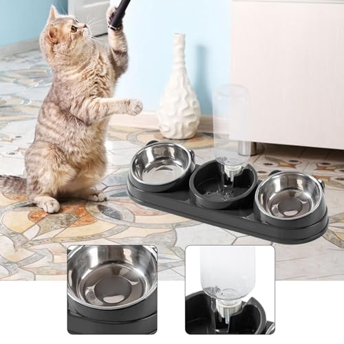 Gamelles triples pour chat avec distributeur d'eau surélevées pour petits chiens lapins - 5