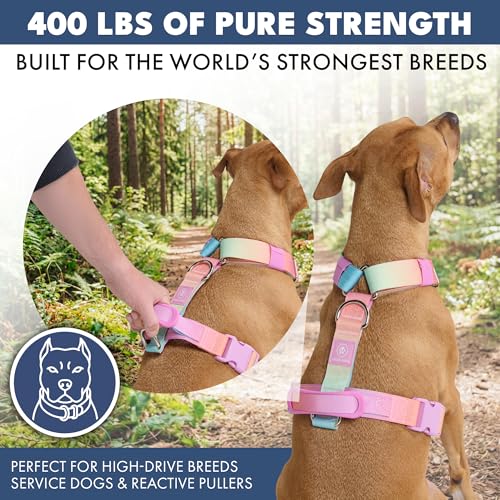 Image of Spark Paws No Pull Dog Harness with Handle for Large Dogs, Heavy Duty Dog Harness for Big Strong Breeds, Adjustable, Y Shaped Padded Halter Design with Front Clip- Pastel Icing - M