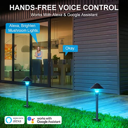 Xmcosy+ Low Voltage Landscape Lights, 200Lm Smart Led Pathway Lights With App Control, Adjustable Warm White&Rgb, Compatible With Alexa, 12V 6W Outdoor Landscape Lighting For Garden Path Lawn (6 Pack) #TOP4