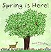 Spring is Here! A Children's Picture Book About Spring