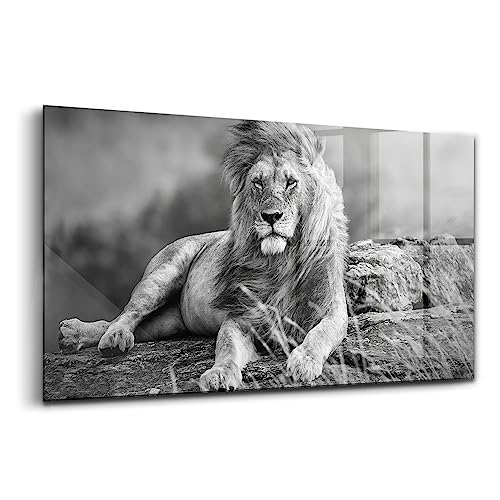 Verre coloré durable pour raviver un mur terne salon 140x70cm