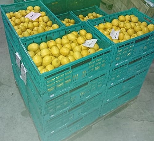 国産　瀬戸田レモン農薬不使用　　o Amazon.co.jp: 国産レモン 農薬不使用 3kg 家庭用 訳あり 瀬戸田レモン
