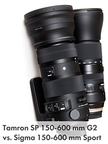 Tamron SP 150-600 mm G2 vs. Sigma 150-600 mm Sport