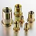 Wensilon Rivet Nut 3/8-16UNC 100Pcs Yellow Zinc Plated Finish Flat Head Rivnut Threaded Insert Nut Knurled Body