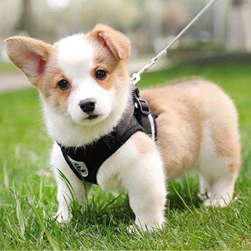 Image of FEimaX Dog Harness and Leash Set for Walking, Soft Mesh Adjustable Easy Control Lightweight Cat Vest Harnesses with Reflective Strips, Escape Proof Small Dogs Cats Vests (Black, Large)