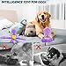 Intelligenzspielzeug für Hunde,Schnüffelspielzeug Hund,Hundespielzeug Schnupftabak,Quietschend Welpenspielzeug,Interaktives Hundespielzeug,Puzzle Toys for Dogs,Oktopus Interaktives Hundespielzeug