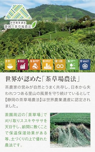 中村香緑園 掛川の誉 深蒸し掛川茶 100g