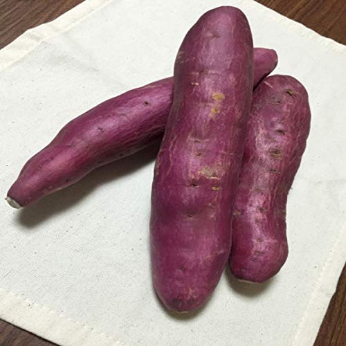 �y�������Y�z�󂠂� �Ȃ�Ƌ��� ���ނ��� M�`2L�T�C�Y ��1kg