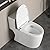 SouNor SN1028N One Piece Elongated Modern Toilet Soft close Seat Top Dual Flush 1.1/1.6 GPF Double Cyclone Flushing 1000 MaP Score 12"Rough in