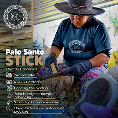 Ola Blue Palo Santo Smudging Sticks (12 Pack) From Peru Premium High-Resin Hand Picked Palo Santo Sticks - Ethically Wild Harvested Sacred Smudging Sticks Sustainable Packaging #TOP1
