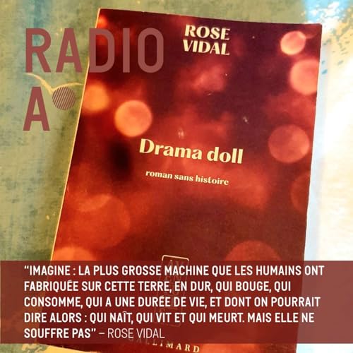 "Drama doll. Roman sans histoire" de Rose Vidal, par B&eacute;r&eacute;nice Gagne (2/2)