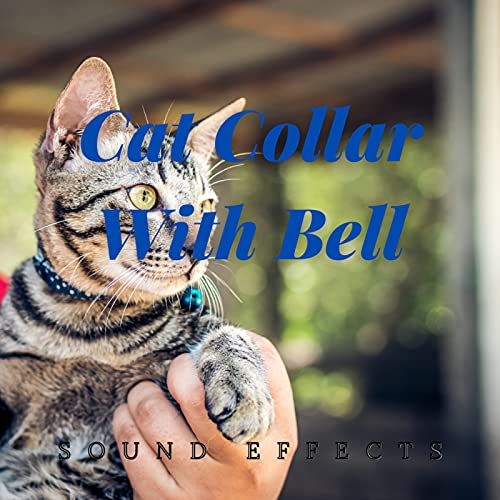 Cat Collar With Bell Sound Effects Cat Collar With Bell Sound Effects