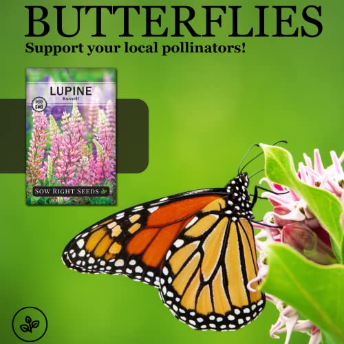 Sow Right Seeds - Russell Lupine Seeds To Plant - Full Instructions For Planting And Growing A Perennial Flower Garden; Non-Gmo Heirloom Seeds; Wonderful Gardening Gift (1) #TOP2
