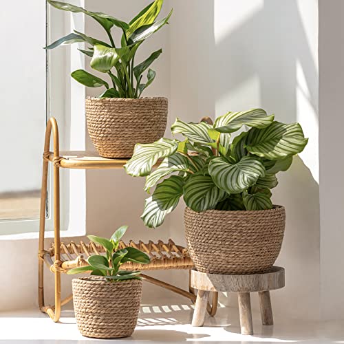 La Jolíe Muse Seagrass Planter Basket Indoor, Flower Pots Cover, Plant Containers, Natural, 3-Pack