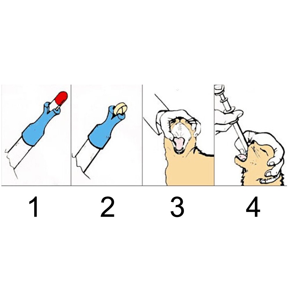 Amazon | 【ノーブランド品】ペット 猫 犬用品 介護補助 薬