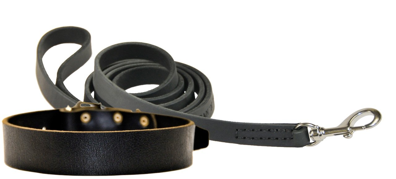 Collier en nickel 91cm Dean et Tyler avec sa laisse noire assortie