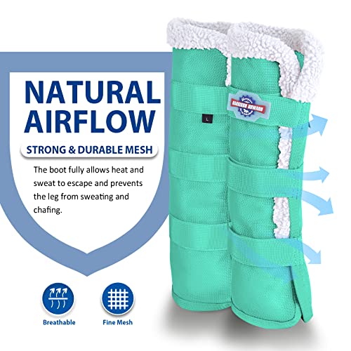 Image of Harrison Howard Horse Fly Boots Summer Protection with Fleece Trim to Eliminate Rubbing Comfortable and Ventilating Mesh Leg Guards Sold in Pair Mint M
