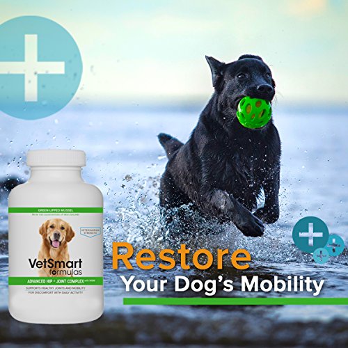 VetSmart Advanced Hip and Joint Complex with MSM Provides Relief of