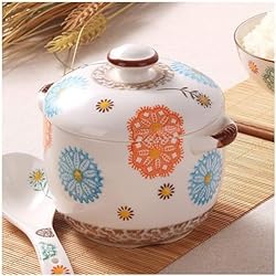 Cazuela Hierro Fundido Pyrex Cacerola con tapa para horno, juego de cacerolas de hierro fundido, olla de estofado, olla de sopa y cazuela Pyrex con tapas, esenciales de cocina todo incluido