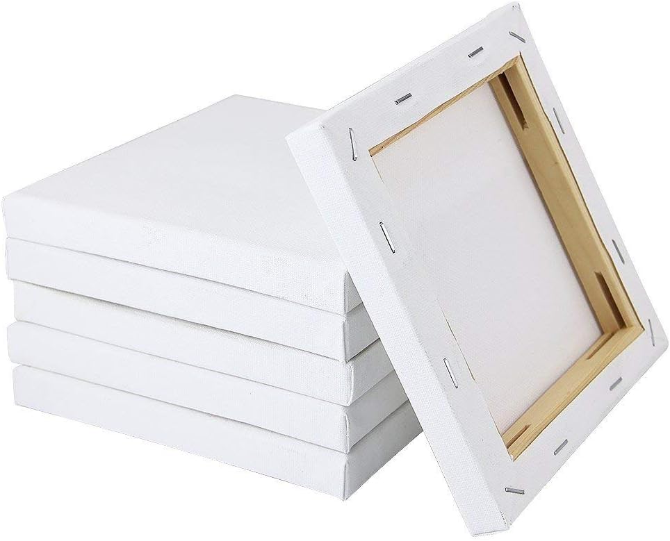 Worison Roy Fine Art Primed Cotton Pre Stretched Canvas with Wooden Frame White, 4 x 6 Inch (Pack of 6)