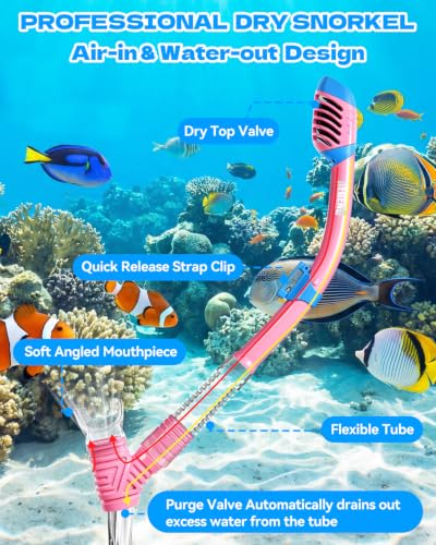 Equipo de Snorkel Aegend para Niños con Máscara, Tubo de Respiración y Aletas miniatura 3