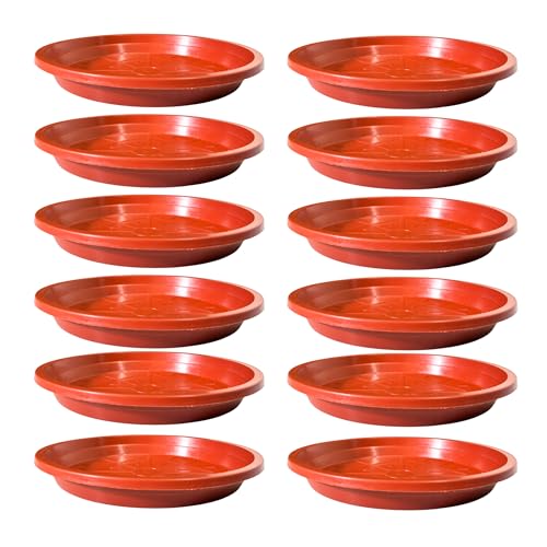 Image of Plant Saucer Base Plate for Pots | Premium Planter Tray |100% Virgin Plastic, UV Treated, Durable & Lightweight | Ideal for Indoor & Outdoor (12, 8 inch Tray)