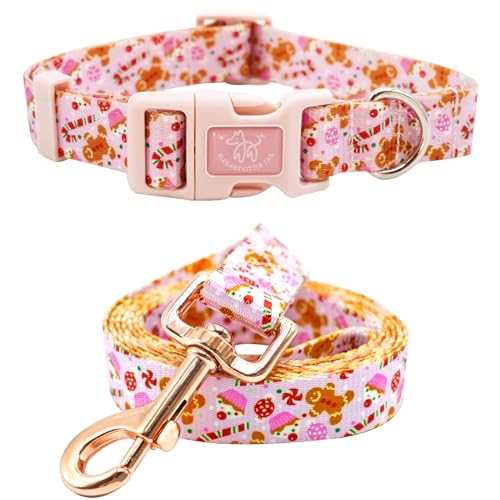 Collier pour chien avec laisse rose pour balade urbaine et parc