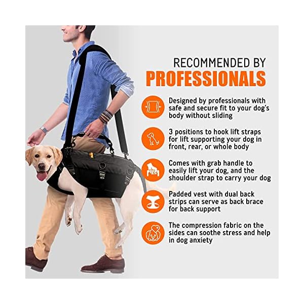 5-in-1 Dog Support Harness – Full Body Lift Harness Support Sling Padded Vest Back Brace – Great for Pet Mobility, Hip & Joints, Back Support, Anxiety by Neoally (Small) 5-in-1 Dog Support Harness – Full Body Lift Harness Support Sling Padded Vest Back Brace – Great for Pet Mobility, Hip & Joints, Back Support, Anxiety by Neoally (Small)