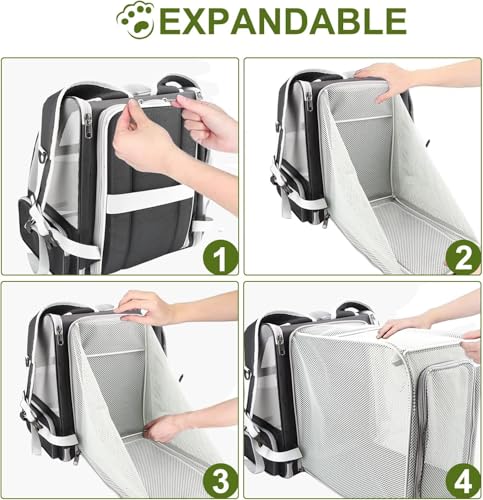 Image of Cat Backpack Carrier, Breathable Cat Carrier Pet Backpack for Kitty Small Dog Up to 15Lbs, Transparent & Foldable Pet Carrier for Travel Hiking (Expendable Black)