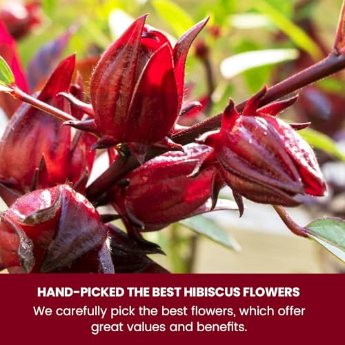 Image of TEAFLOOR 100% Dried Natural Hibiscus Flower Tea 150g (300 cups) || Whole Flower, no small pieces, Brew Hot or Iced ||