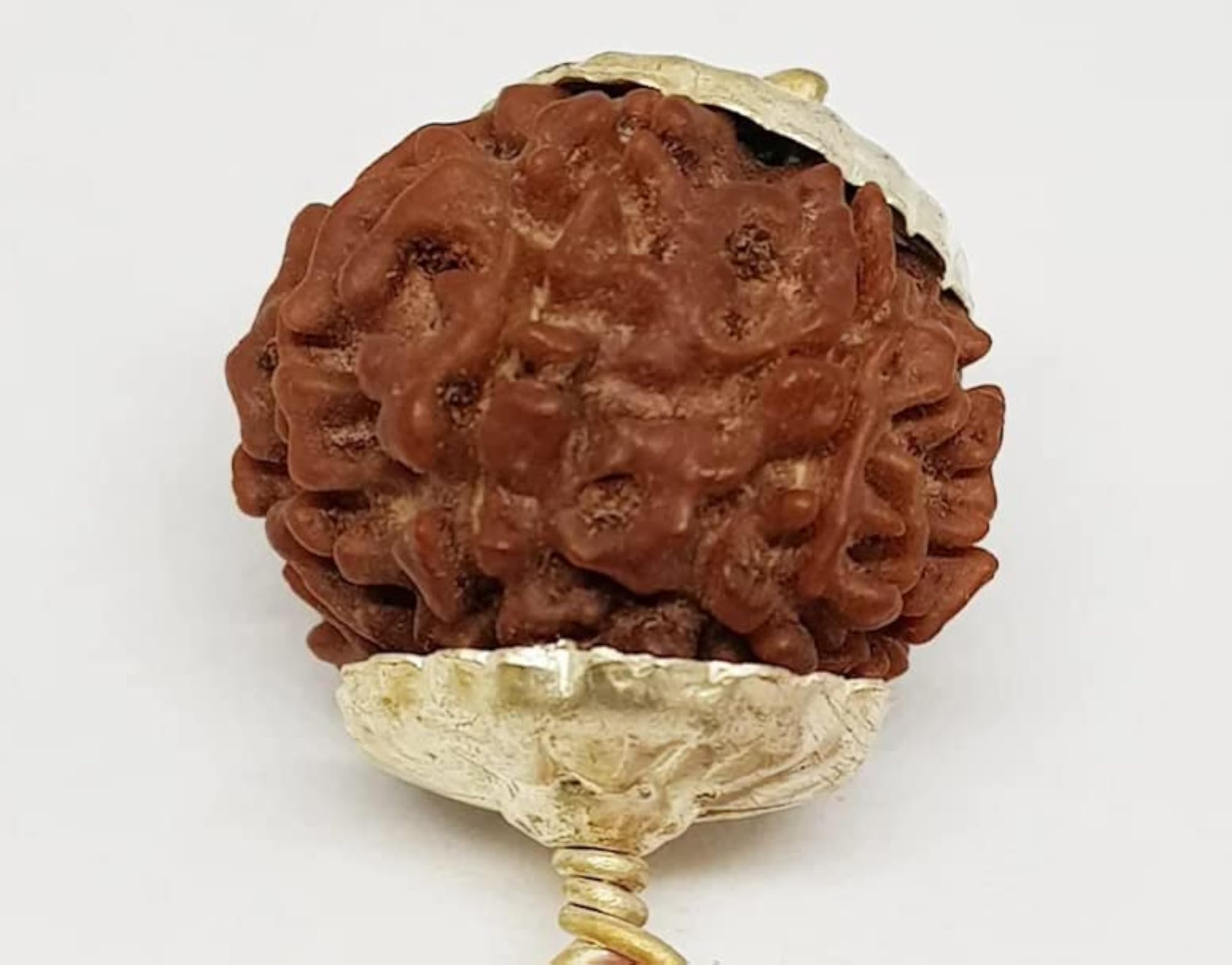 9 Mukhi Rudraksha Original Certified with Silver Capping