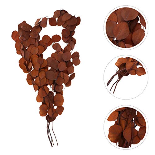 Cabilock Folhas de eucalipto artificiais artificiais artificiais guirlanda de eucalipto secas, haste