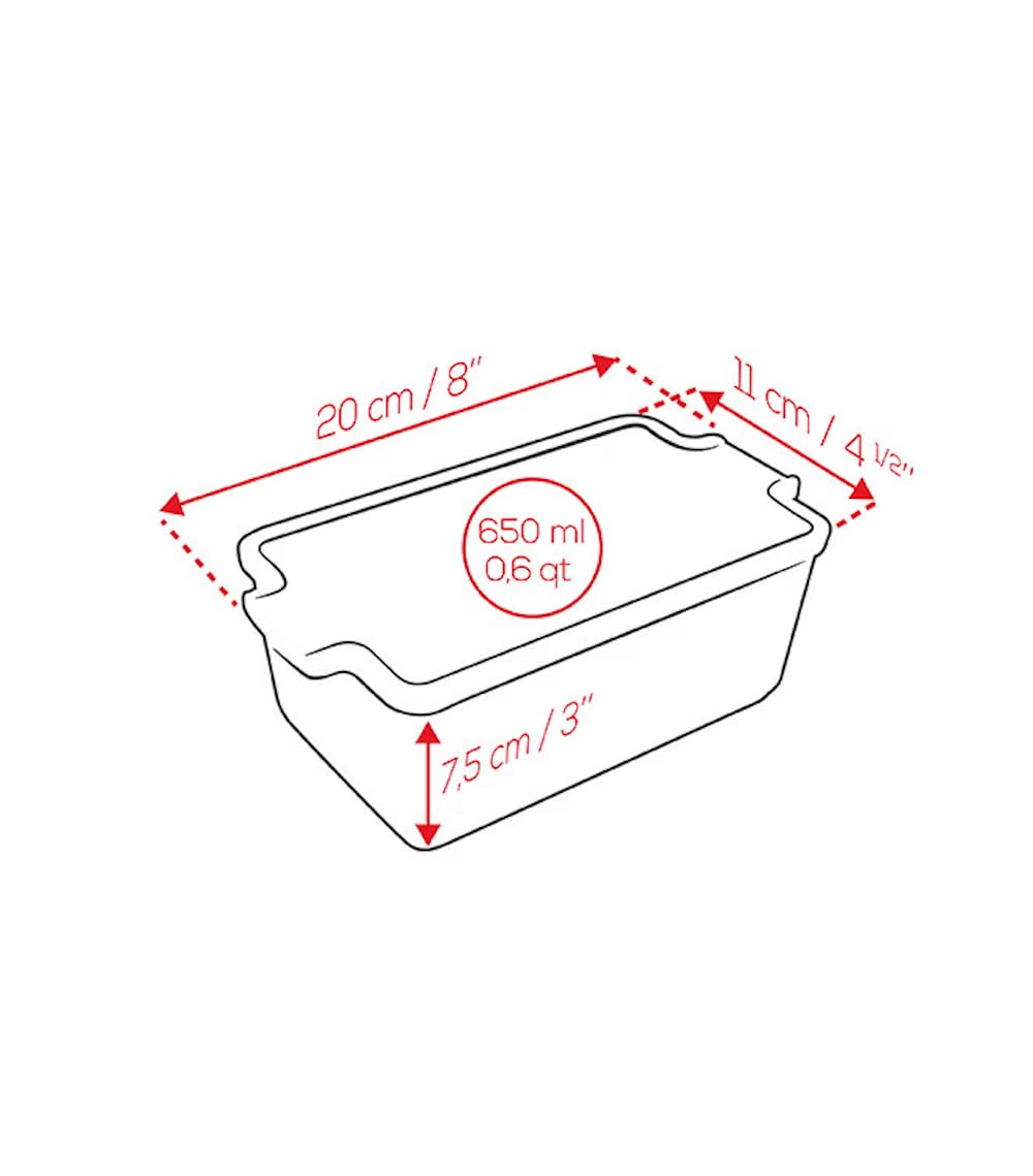 PEUGEOT - Terrine en Céramique avec Presse Appolia - 20 cm x 11 cm x 7,5 cm - Contenance : 0,65 L - Terrine Pour Foie Gras - Garanti 10 Ans - Fabrication Française - Coloris Ardoise