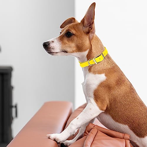 Image of Viper Biothane Heavy Duty Waterproof Dog Collar Strong Coated Nylon Webbing w /Solid Brass Hardware Odor-Proof Easy to Clean High Performance Fits Small Medium or Large Dogs, Lemon Yellow