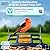 Smart AI Bird Feeder for Families - Attract Vibrant Cardinals! 2K Day/Night Camera, 10,000+ Species ID, Real-Time Alerts, Solar Powered & Weatherproof - Fun Bird Watching for Kids & Adults