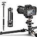 Produktbild Rangers Kamera Stativ, 141cm Aluminium Reisestativ Fotostativ mit 360° Panorama Kugelkopf, Ultra Kompaktes und Leichtes Design, Ideal für Reisen und Fotografie im Freien