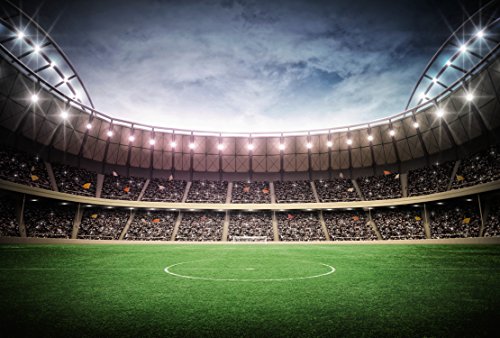 Scenolia Wandbild Panorama STADE DE DE FOOT 4x2,70m Deko und Bild XXL Qualität HD