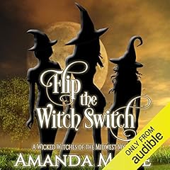 Flip the Witch Switch Titelbild