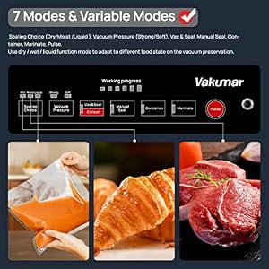 Liquid Vacuum Sealer Machine 90Kpa Vacuum Sealer Machine Preservation DryMoistLiquid Modes LED Indicator Light Handle Locked Design Built in Cutter and Bag Storage Removable Drip Tray