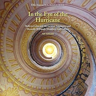 Page de couverture de In the Eye of the Hurricane