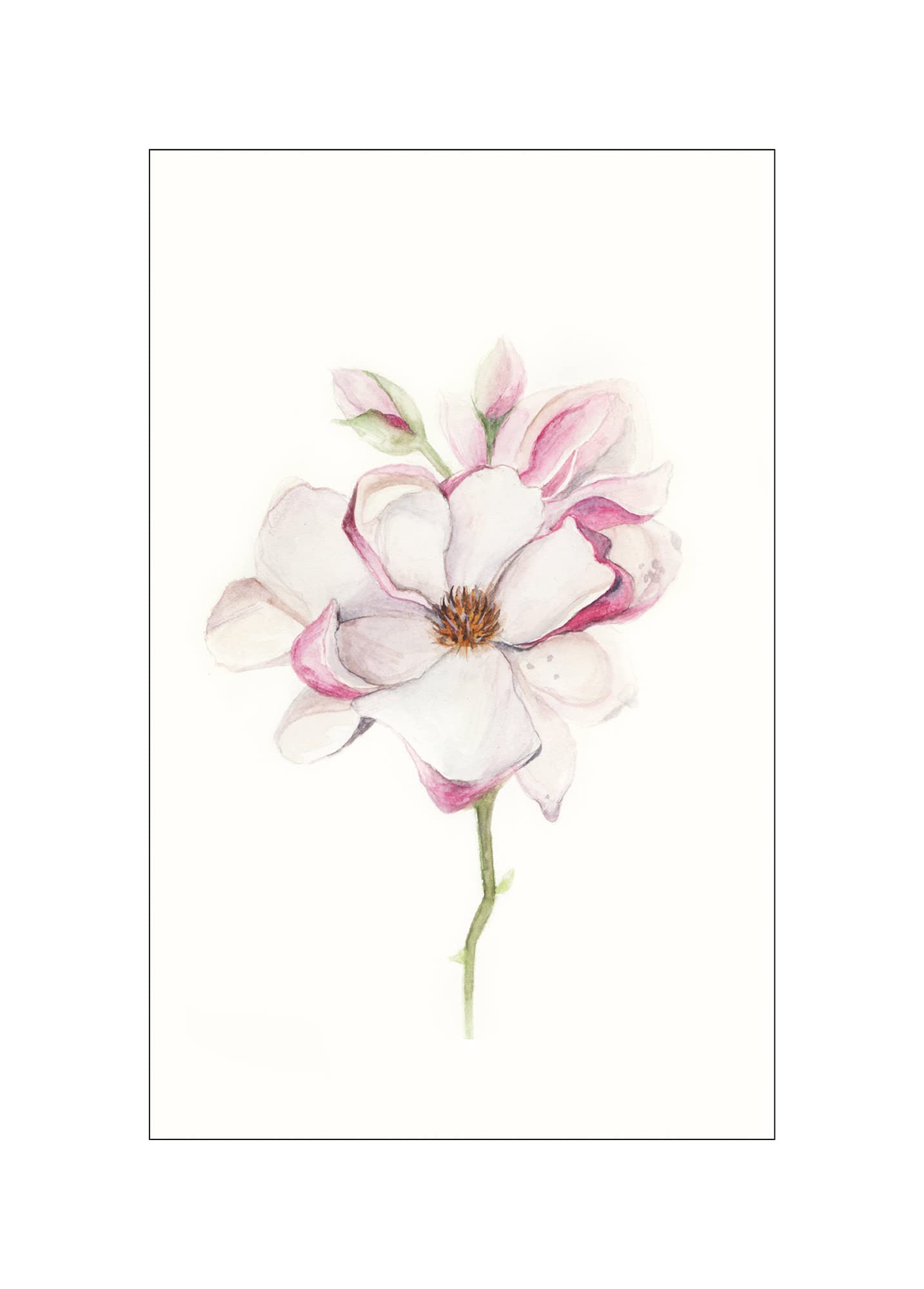 Cuadro de pared Komar Pure Boutique de magnolia: sofisticación y diseño exclusivo de 50x70