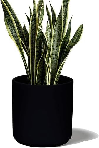 Elly Décor Maceta de 8.0 pulgadas con orificio de drenaje y tapón. disponible en Yaxa Colombia