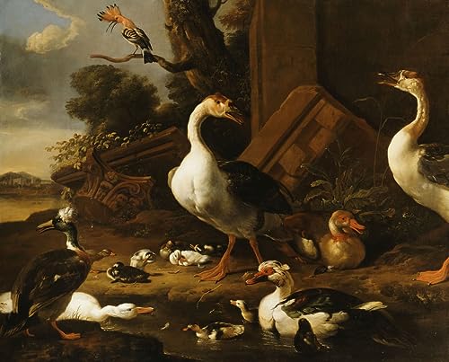 Tableaux Graffiti Art Mural oiseaux et ruines de Hondecoeter pour s'évader au quotidien